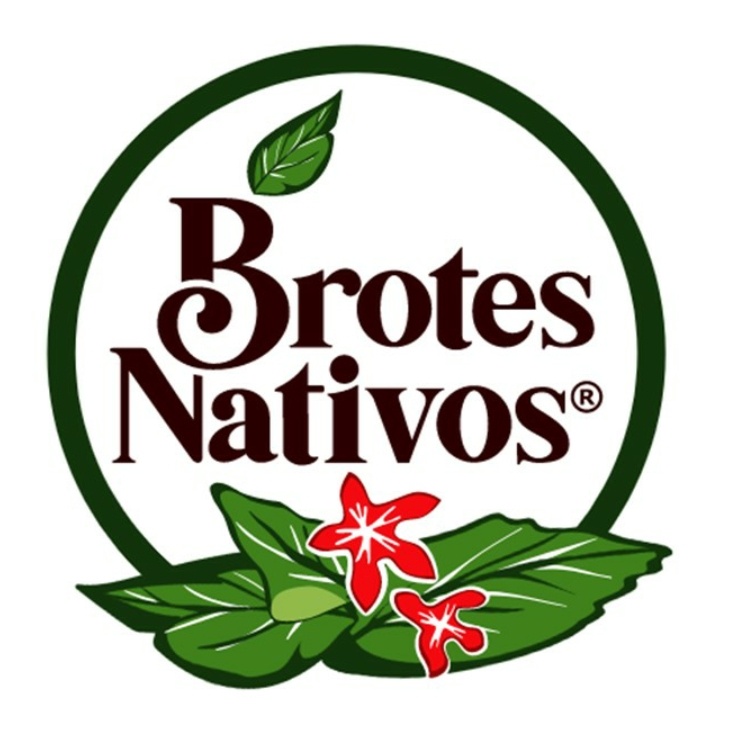 Logo Brotes Nativos